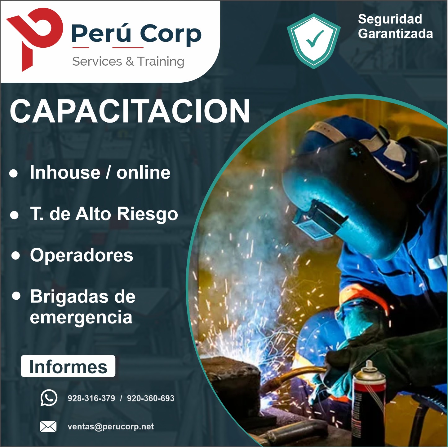 Capacitación Inhouse / Online